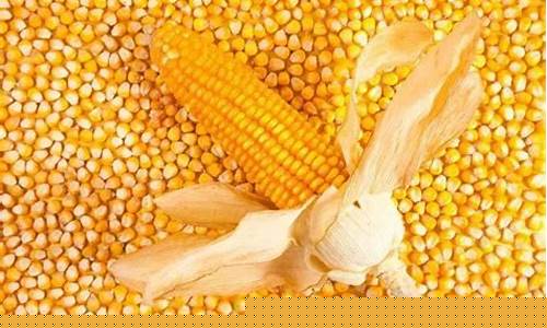 进口玉米期货最新行情今日(玉米期货最新行情走势分析)_https://www.8918198.com_上期所_第1张