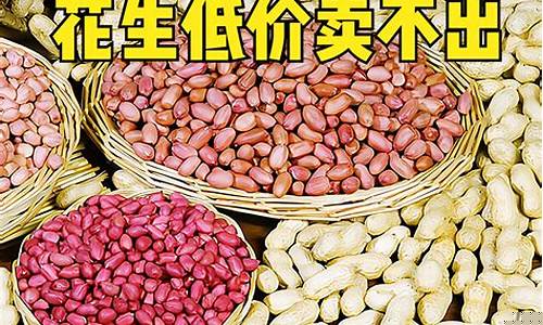芝加哥期货花生价格行情(芝加哥期货交易所行情)_https://www.8918198.com_中金所_第1张