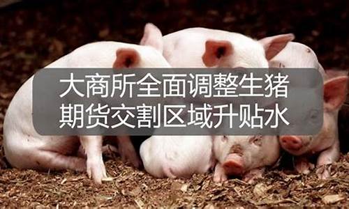 生猪期货高手预测最新行情(生猪期货实时行情走势图)_https://www.8918198.com_广期所_第1张