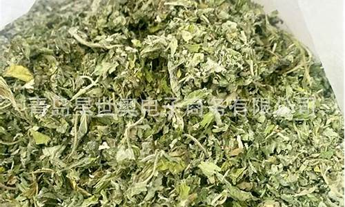 薄荷原料期货价格行情(薄荷市场价格)_https://www.8918198.com_广期所_第1张