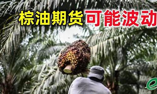 bmd毛棕油期货行情(毛油价格最新行情)_https://www.8918198.com_上期能源_第1张