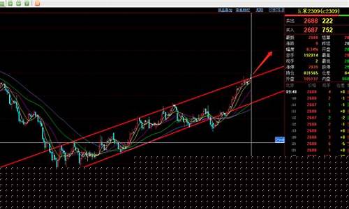 六月玉米期货行情(玉米2403期货行情)_https://www.8918198.com_郑商所_第1张