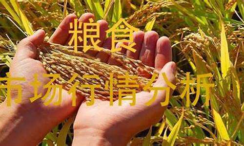怎么交易粮食期货行情(粮食交易流程)_https://www.8918198.com_广期所_第1张