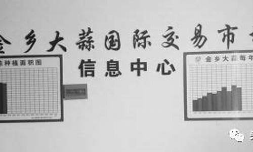 金乡大蒜期货电子盘行情(金乡大蒜期货交易网)_https://www.8918198.com_上期能源_第1张