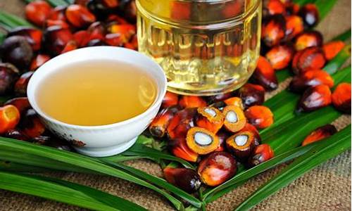 外盘豆油棕榈油期货行情(外盘棕榈油交易时间)_https://www.8918198.com_中金所_第1张