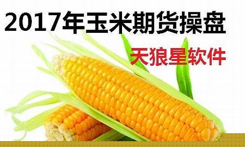 河南玉米期货行情分析(河南玉米价格最新行情走势图)_https://www.8918198.com_广期所_第1张