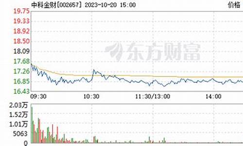 中科金财以后股价能上300吗(中科金财这支股票会走st吗)_https://www.8918198.com_郑商所_第1张