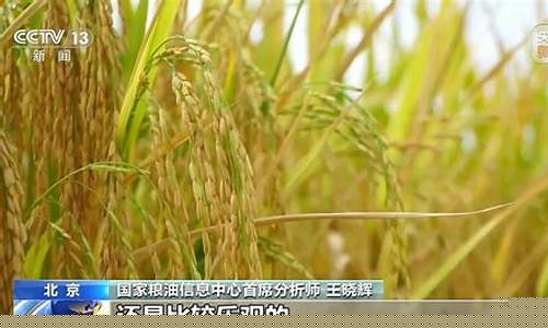 中国粮价上涨时间是哪一年(中国粮价涨了吗)_https://www.8918198.com_上期能源_第1张