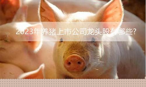 养猪股票有哪些股(养猪股票排行榜前十名)_https://www.8918198.com_广期所_第1张