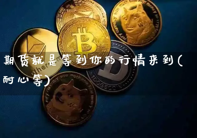 期货就是等到你的行情来到(耐心等)_https://www.8918198.com_大商所_第1张