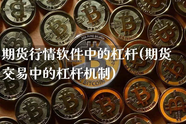 期货行情软件中的杠杆(期货交易中的杠杆机制)_https://www.8918198.com_上期所_第1张