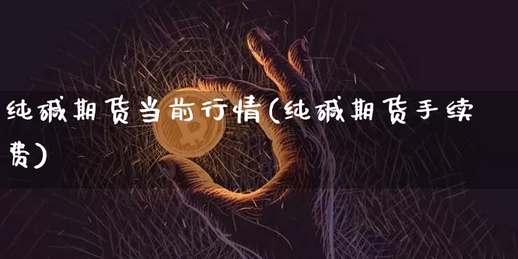 纯碱期货当前行情(纯碱期货手续费)_https://www.8918198.com_上期所_第1张